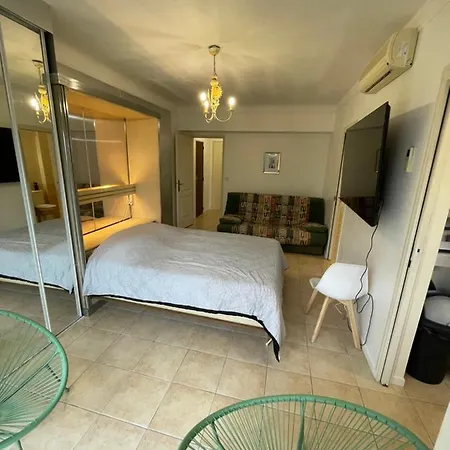 Cool Sur Croisette Palm