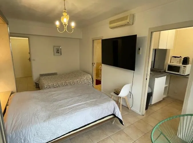 Cool Sur Croisette Palm Appartement Cannes