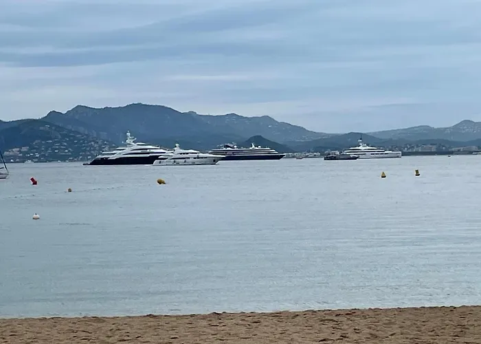 Cool Sur Croisette Palm Cannes