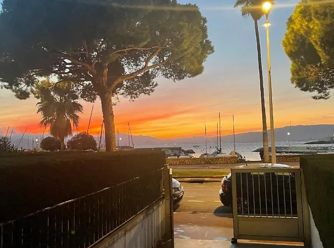 Cool Sur Croisette Palm * カンヌ