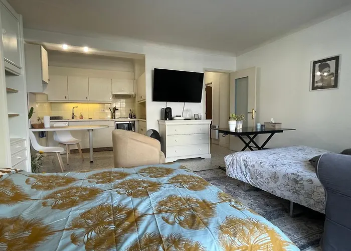 Apartmán Cool Sur Croisette Palm *