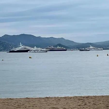 Cool Sur Croisette Palm Cannes