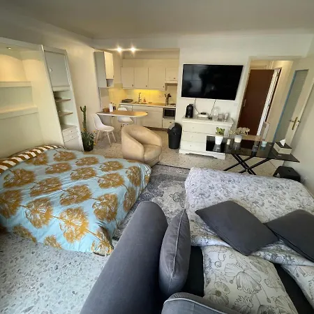 Cool Sur Croisette Palm Cannes