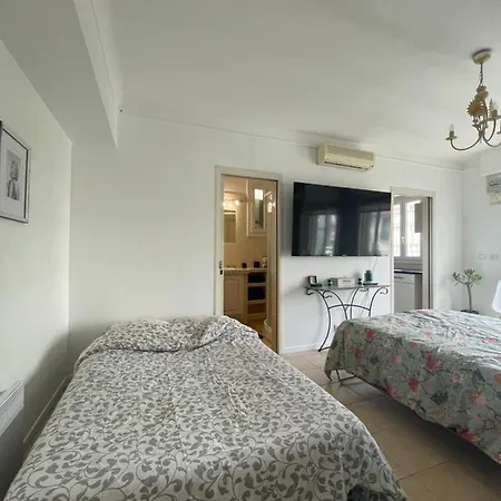 Cool Sur Croisette Palm *